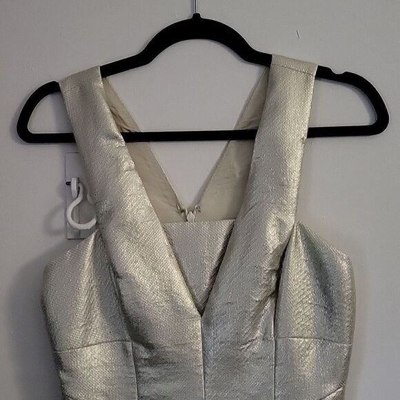 * * ROBERT RODRIGUEZ Silver Party Dress - Picture 2 of 9